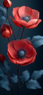 Fzl7OCmbyGFFpwJZbFIZvHZjm20nD881iC38NOScUkve_nna3KmNuJvpanRQzV666KagrQ05z7gLrdKmV_RwWJC5