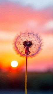 sL4YmsNc3tMPMwkxlLsceYGxQMzhc6hiK7Ml2Adj6A_ZrjHjtpBUWOBYgqK9YCnEUFAcMUp-ELFcrFiQ8In_5S6h