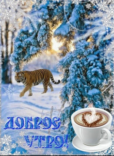 IMG_20250203_074754_537