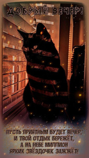 IMG_20250203_160024_854