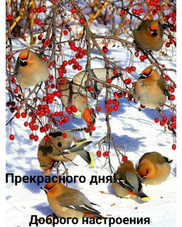 IMG_20250204_142149_945