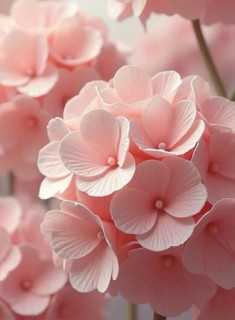 GSg3zEMayLrdzSAy7Aj-9UnXXSG-FbXv7qMyN6CpASX_egKFCBlqMviA9hMjwvRTgL6JtKbxEuBXlZHD52JBCewi