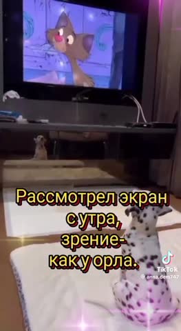 Если утром сделал вдох