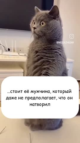 VID_20250207_033344_397