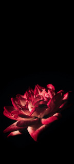 UCt_oVctbgKK2T1YhoCrv1hriZMuvmvTZOwgIzul-_xcmD_mrfMmK78e8jUIP6zLSEzWwJSB-8Eg6_9fI0kUbd5T