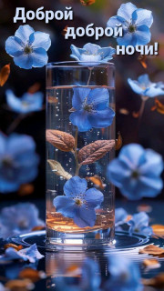 IMG_20250208_191208_968