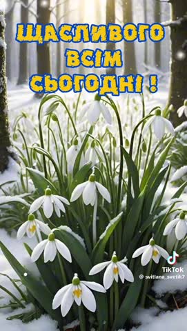 video-d5f15024b4e9732155c1283d659fc97c-V