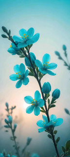 pxBWEZ03r7q4Lx4aKMGOA7V4mO_hYO04tj74ji3lGphEcUQS9C6eHOX63emvpK8-j_JYaMaUYkX9aZ_2YX7li79T