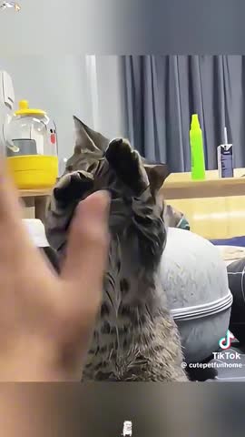 adf762bdc962ec7507ec31fd05600aac