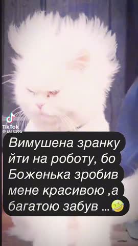 28ed8ae335e0caafd721882e0f6057b5