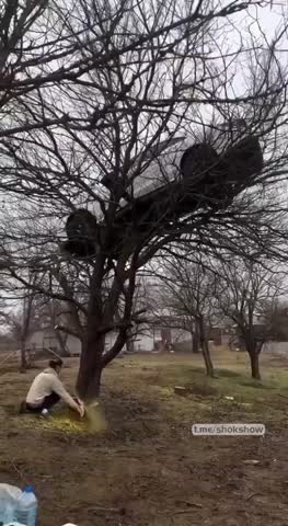 VID_20250216_065650_886