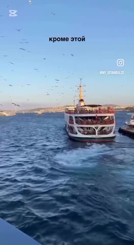 VID_20250217_163041_300
