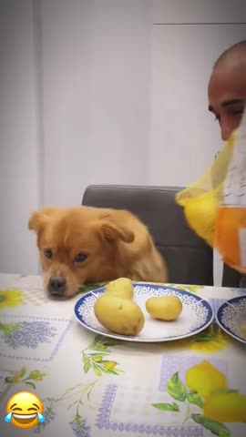 Snaptik_app_7456789016894278935