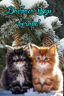 IMG_20250217_201341_825