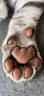 s6OKATZKz_mqhCXYa_PQ6NcvbPY29PTzL71Y7lAI8WPHrsouYnKv_sy8X9Ey6-w370pkI4fEO0nd2J1l_ZJxiP7v