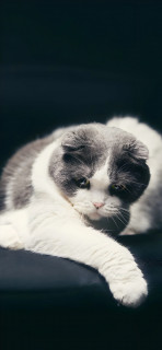 bbAF2MYRBtACwEVC74dFrpqBCPhaGLCgeqQroEdFmu6iswqpG7LMTSzfDq7-4DemzVZwdzGbylf3U_lvVxAprC5f