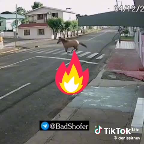 ddd04ce354562335f1c208603d774d3b_1739948506880