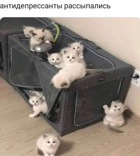 Антидепрессанты