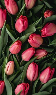 xhT6keWoGNPhYM_DCAXAFAyM59CB7DlEkMndlecHgmZjGsTxNHc41KIsDFwx45hp9niAtR3V4fMhQlI1z90OB85x