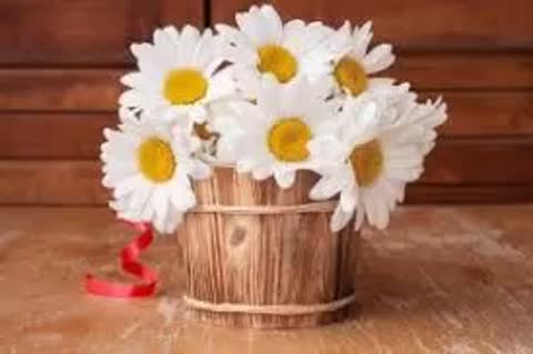 Foiz_PRO_Для_тебя_