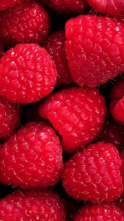 _IMjnvzTi6KRmvug5w1csNWeF5iN40U52yj6NVsDmBpOjljFP0S460wxZY10EZsy-N6UK5t70K3cwwJDaZE2kLUy