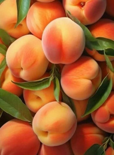 BghFyI0tT70ADf5DWdYtqwPb2CBnYncMHofaGj5aiKNsphUwLCg6NCmH6dlW7myqXpzxDpOZKlTSn_uWH2lAHjul