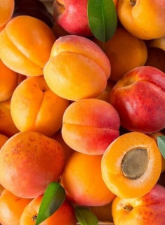 nFBOROgxv_F5260UAQKveI1yFIS7oHP-w-j9hIVYj6r9buCEqV5rqHcJSNVIAqYs1DvYVFzsghWbYCXQxrTgY_P1