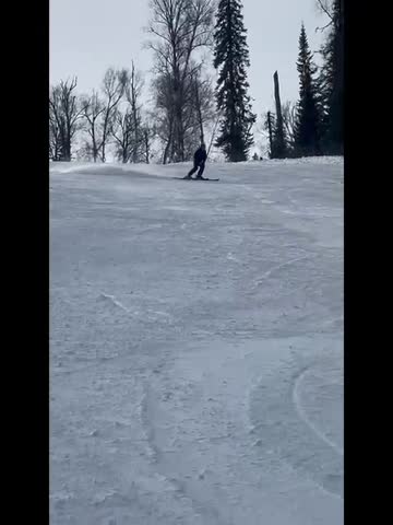VID-20250224-WA0000