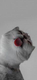 Z1y1urlTKhb-9ltiI-Okhg8kMvXsgMUWMpgmBTp45h7HbM2xK3xfNmRb2ZFlQGSbCxXRiDYVbH9Zu8nin5wTMO_3