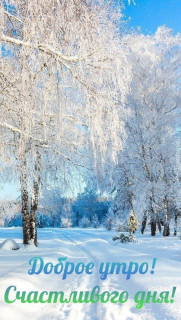 IMG_20250224_073550_142