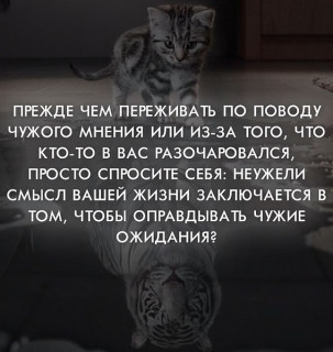 gi9QoQyEP-Y