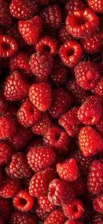 FWkwdeHSIVOIvcYqkYbWgYTl599utInuF9s7grQh1cg2ObBY89KOG0uwwkuMz5nHRmCsJTQwxrgjnvg189y4wV1F