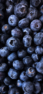 mFYSo2g4_MdculSkDL0d50P-yeAR3ICFkv3u3GhxJi9i-d4ZZAbHRELPcGmr3wJ7HUDduljdCAwjW0sJ1hC7owAL