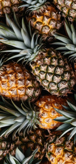 CffaSg-fZ0j5Upjh6F-M1uGyYKdSxQS4ia-6Q6mimIOGuCgVzQjHTP1FkmJoRXdlChwuEmn_xFG0gz5hmd8UkoSw