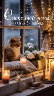 IMG_20250225_190437_081