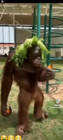 da1d8efd38dff7fd8fb4292969b00bb0