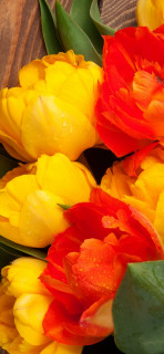 w8cmOxgl_wtL5OZANLz-VqR4cZhxeqkeHhtn6o6kOYyNGBT72dr0ZzhsUotPhlrywnIj1GLNokseMGutnyHSsVnf