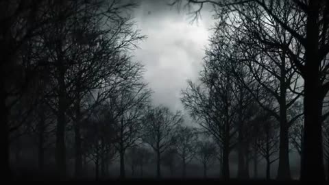 Ddkh_-__The_Eve__Official_Music_Video