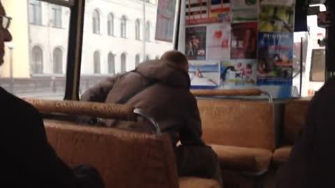 vidmo__Devushka_moejj_mechty-Simonakoroleva_krasoty_854