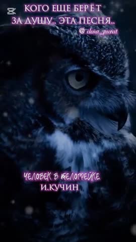 elena_purat1_2025-02-25-22-49-54_1740494994497