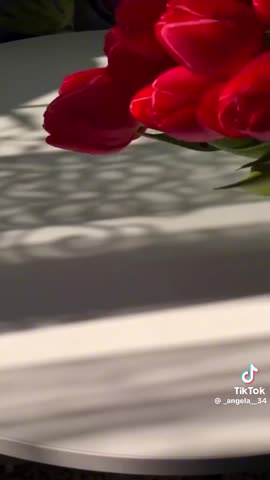 4e6a08449896d8a8e46a4ce8fe6df8ab