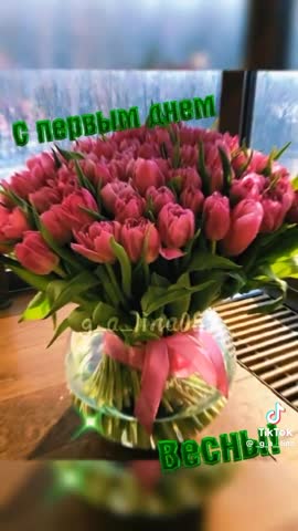 video-25f1cf8ee87dd4a842a80544706ccbfe-V