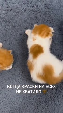Не хватило краски