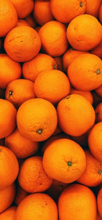 0NzbcesaUbpy2VaIAlh-GI7LrHq8YJ_gqNq0JOSHMG4mDTjy8U8qnZpxj6fhF6SxPkV4Fm60EURrgV2jPR05Wlf8