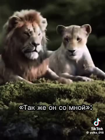 8f5c55b8eaa9c13b703829b377070737