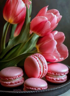 _Nwj3DaBuHeCN2H_jR8ZS5HLclhrAVA5GvfQvf2Xu9vLs1iQ8oFMaoKDkMo5Imgj4PqPpBVlHmlPkD3WX1L-5pyP