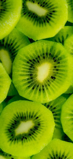 tARDDZfsZiXY58Pzc-vGVFQ6u9GnUMoXR5nJRMSNCeAn3VZBglKd-criMU72XjijiYdC22CLWSoXxGiRQfFtLMzj