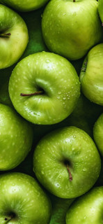 oQeueOP3hAmuJ0H7HvgPJAtkzXAK5NKDMXMSu_r903vxXFxsSWUphv7bBaLXRiR7KO0gzp4NXf2iXew18DtP3ab7