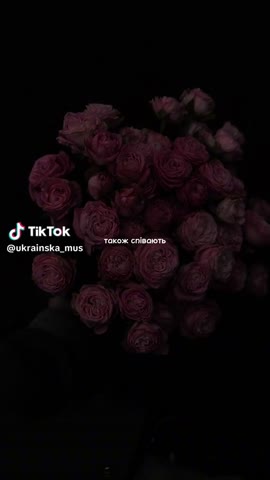 9969783bd7e1619d40da63c23614e2a2_1741100124600