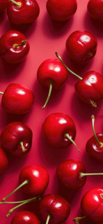 mDx5kECrvGhxyWt6_7V1UnuxqPH0vo5b2HZLTKgXWWMmMNAJwb3vVCQWhdlEsS-qKJhPLj1AcZop4cREA1mu9uYa